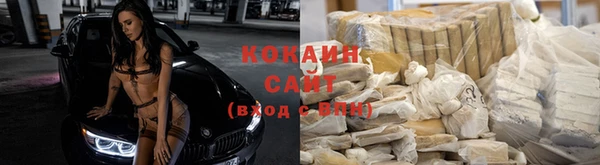 не бодяженный Абаза