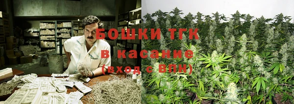 ГАЛЛЮЦИНОГЕННЫЕ ГРИБЫ Пестово